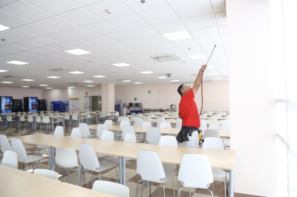 Plagas y Cambio Climático: Un Reto Urgente. Control de plagas Mortex: Tu Aliado Estratégico