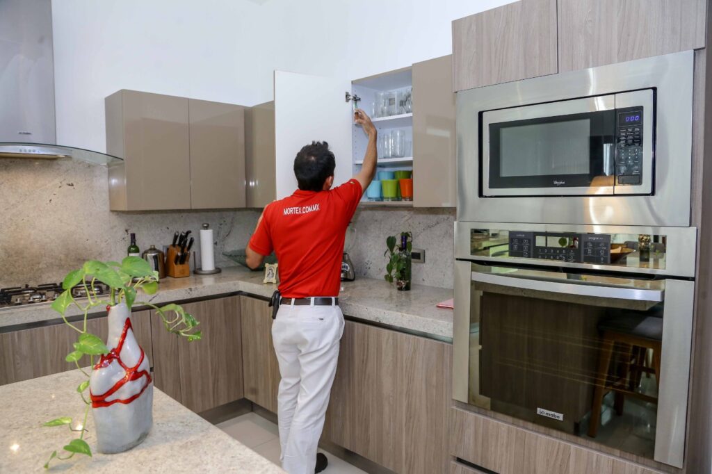 Plagas en primavera: por qué aparecen cucarachas, hormigas, mosquitos y roedores en casa