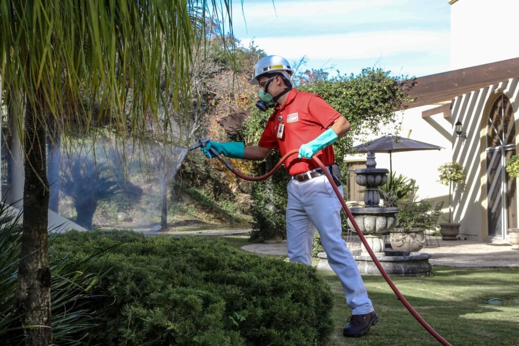 Protege tu Hogar y Negocio del Aumento de Mosquitos
