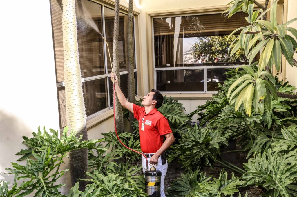 Las plagas también buscan refugio: protégete este invierno con Mortex Control de Plagas